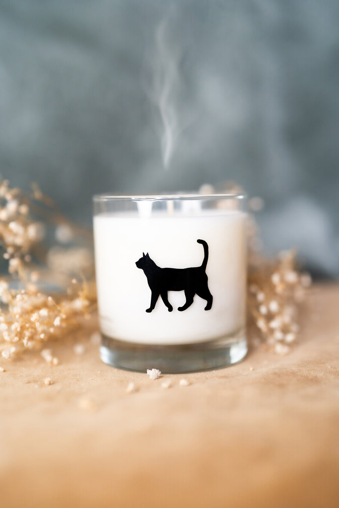 CAT SCENTED GLASS JAR CANDLE
