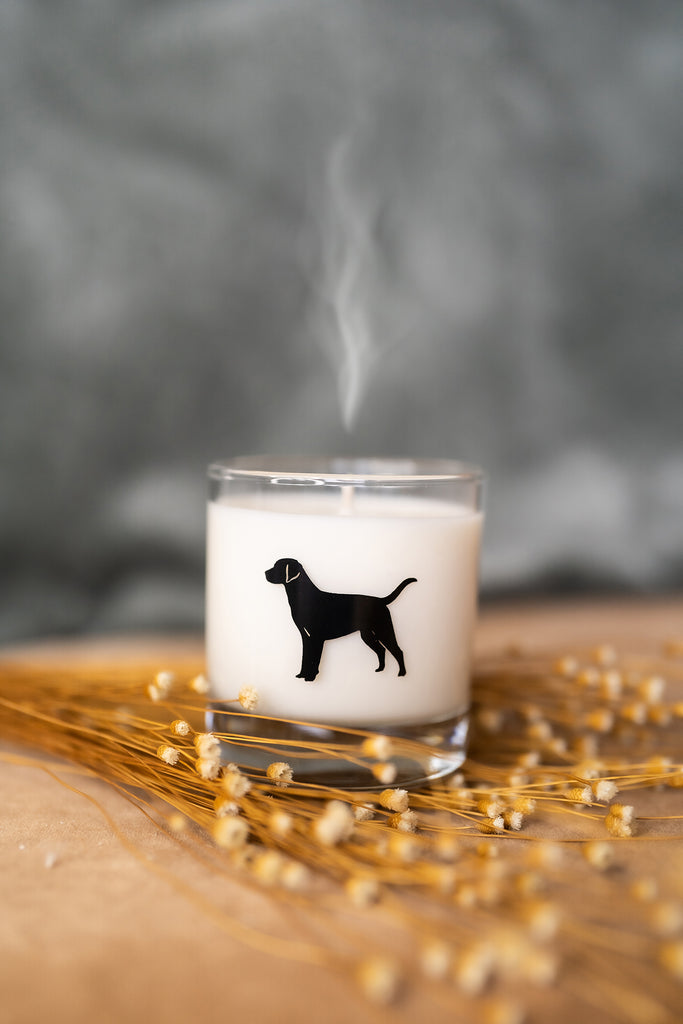 RESCUE DOG SCENTED GLASS JAR CANDLE